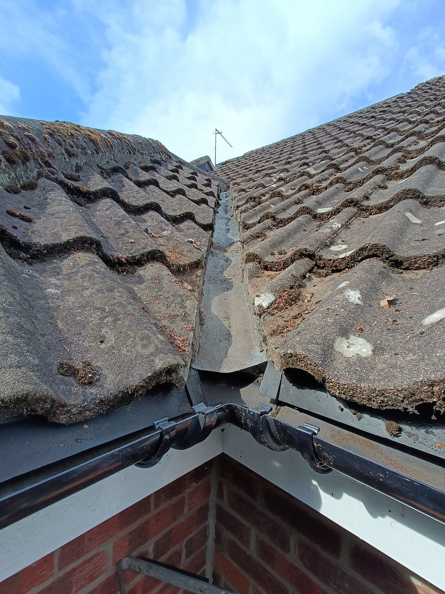 Rolfe and Son Window Cleaners, patios and driveways, vaccum and gutter cleaning, conservatory cleaning. (17)