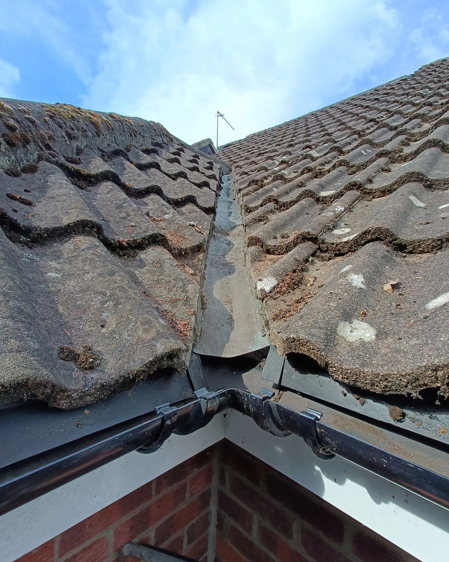 Rolfe and Son Window Cleaners, patios and driveways, vaccum and gutter cleaning, conservatory cleaning. (2)
