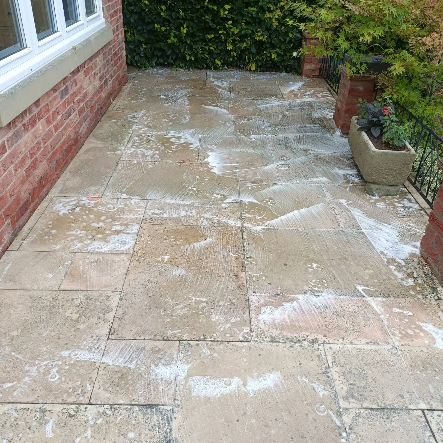 Rolfe and Son Window Cleaners, patios and driveways, vaccum and gutter cleaning, conservatory cleaning. (30)