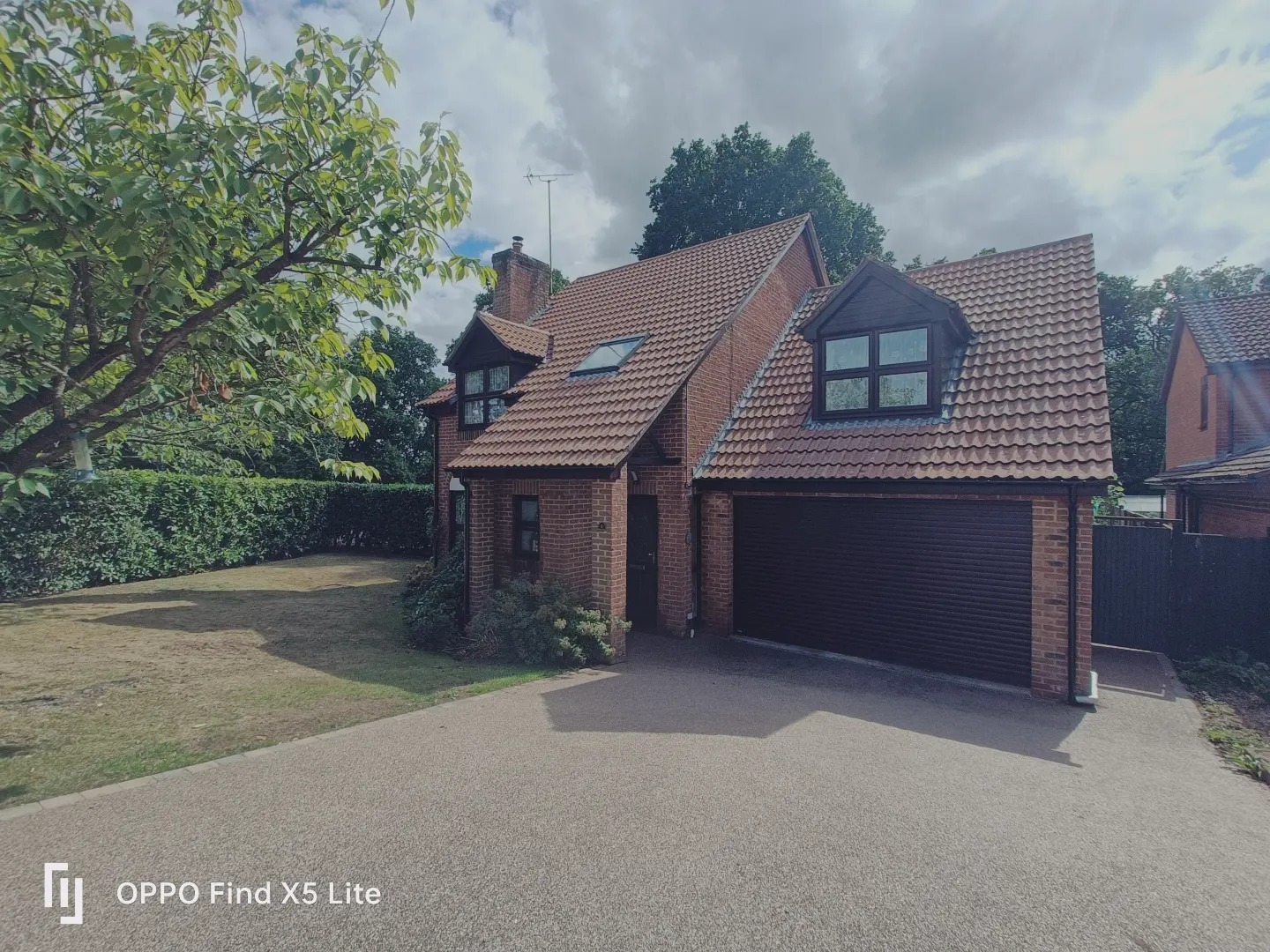 Rolfe and Son Window Cleaners, patios and driveways, vaccum and gutter cleaning, conservatory cleaning. (33)